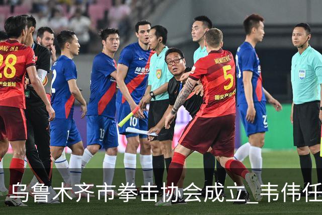 乌鲁木齐市拳击协会成立 韦伟任会长
